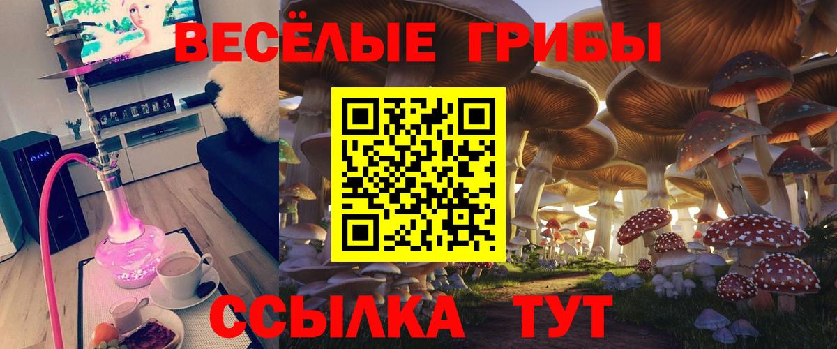 Дмитров  где купить наркоту  Вход с VPN  Галлюциногенные грибы Psilocybe 